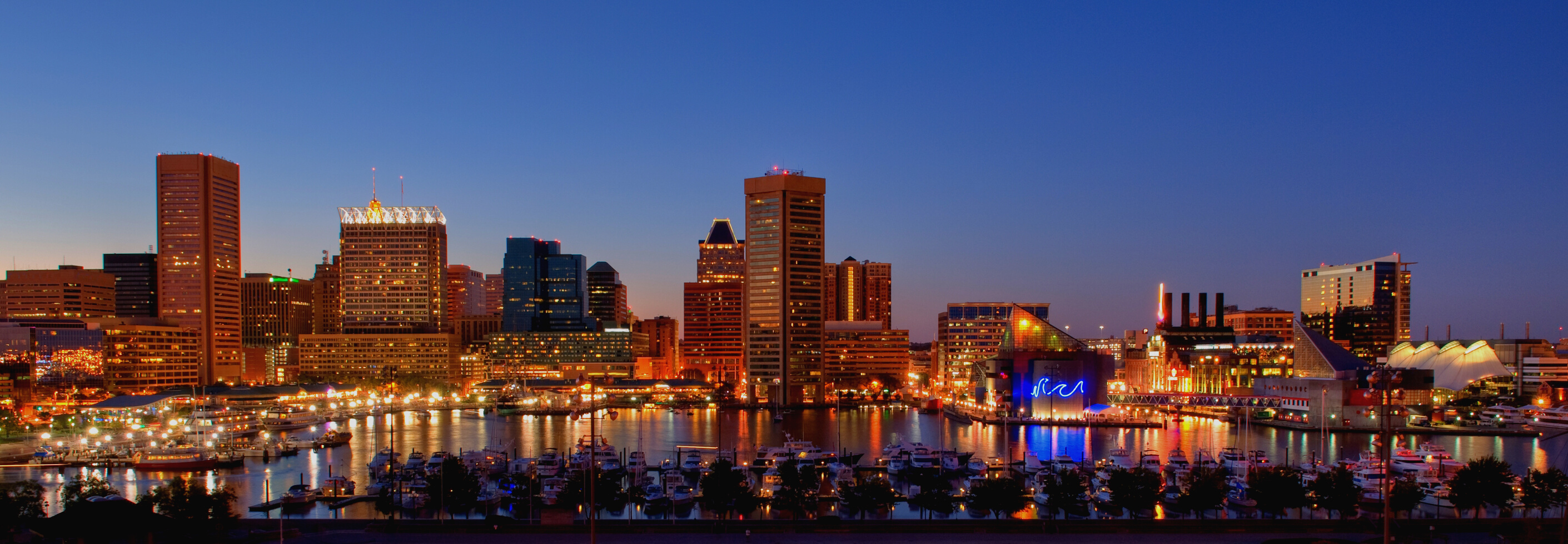 Baltimore Cityscape